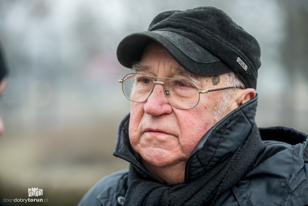 Obchody wyzwolenia Torunia