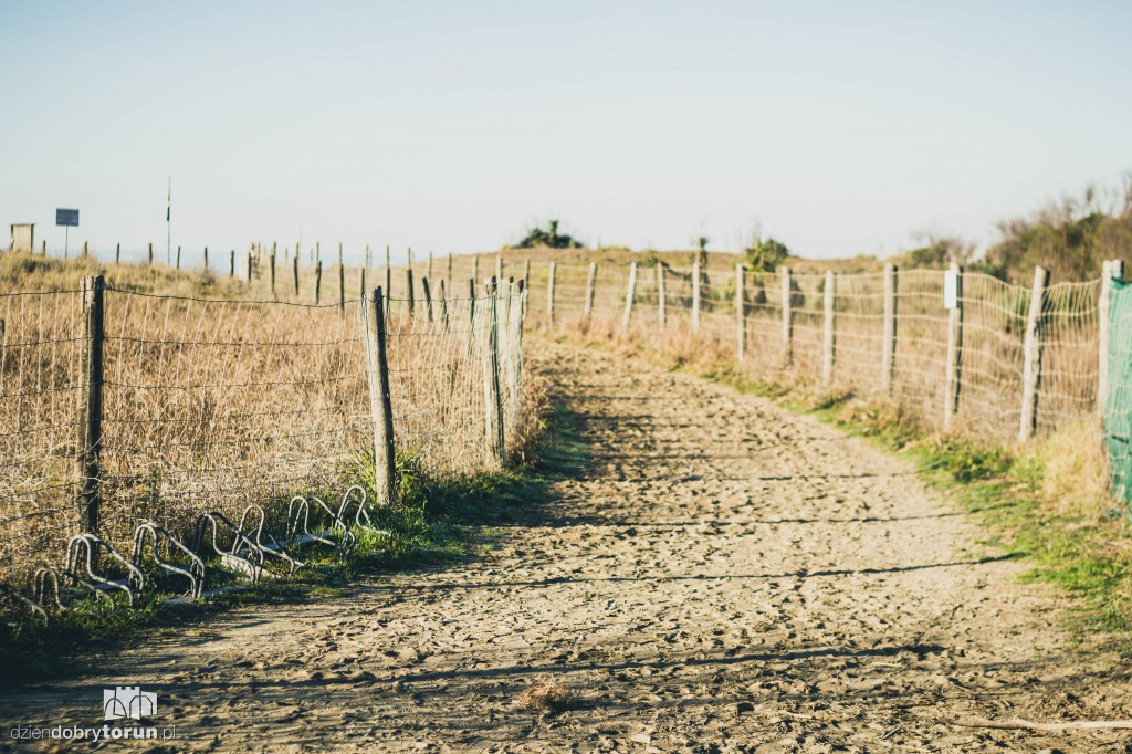 Fitnesski przygotowują się do sezonu