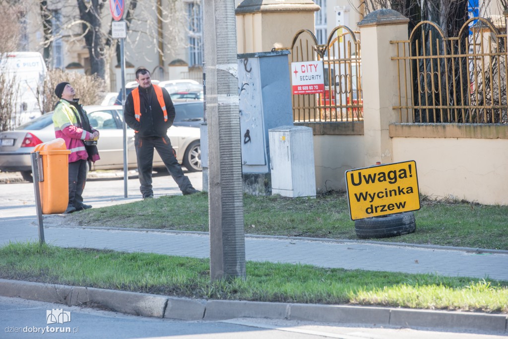 Z Sobieskiego znikają kolejne drzewa