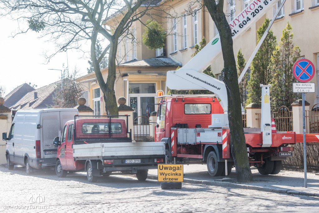 Z Sobieskiego znikają kolejne drzewa