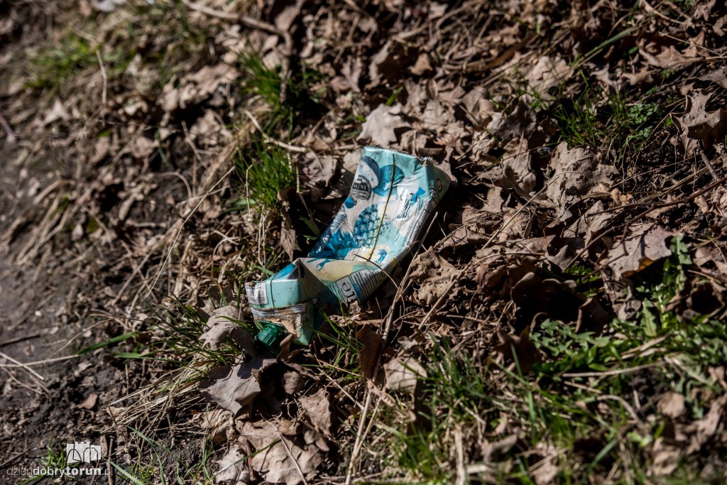 Zobaczcie, co zakwitło w parku miejskim