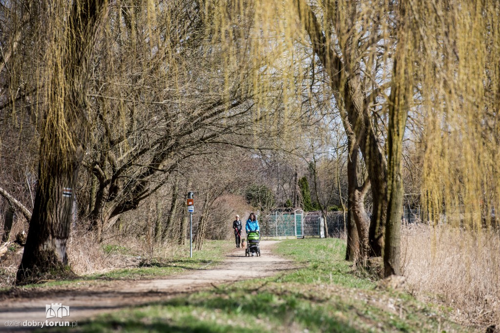 W parku miejskim czuć już wiosnę!