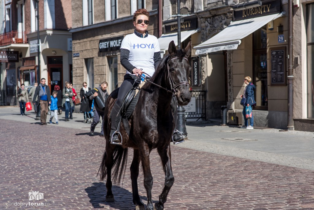 Widzisz osła czy konia? Akcja na Starówce