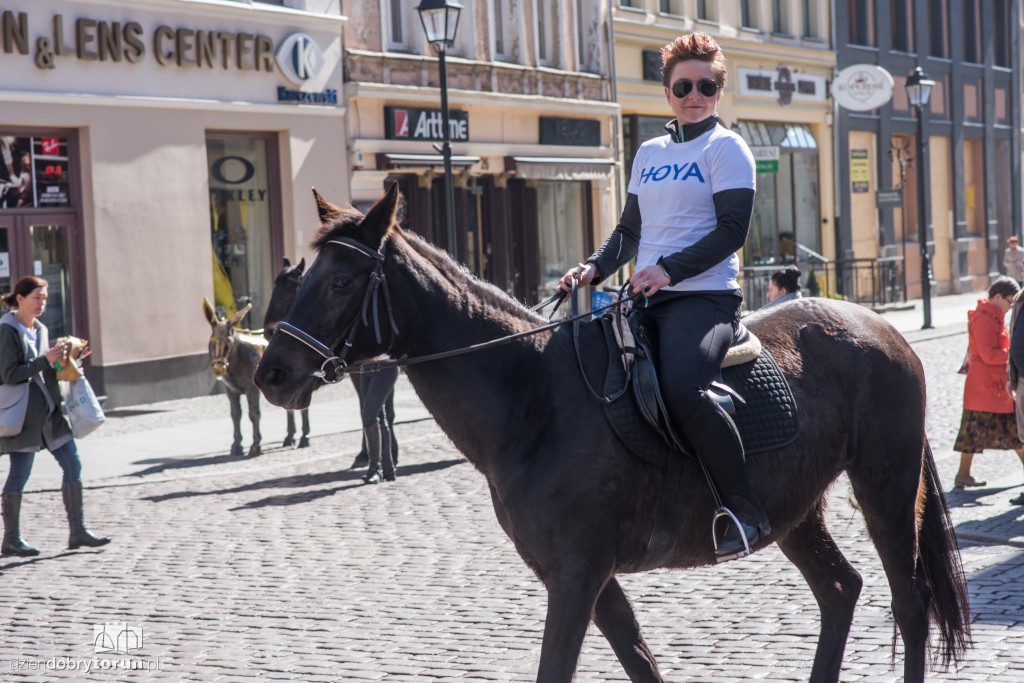 Widzisz osła czy konia? Akcja na Starówce