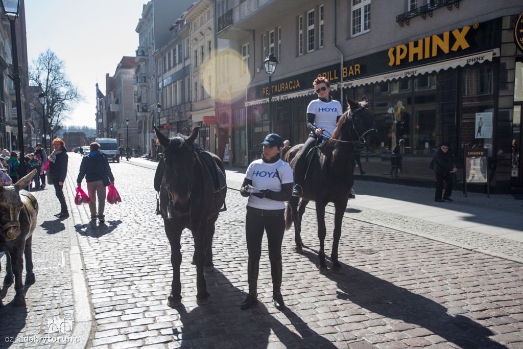 Widzisz osła czy konia? Akcja na Starówce