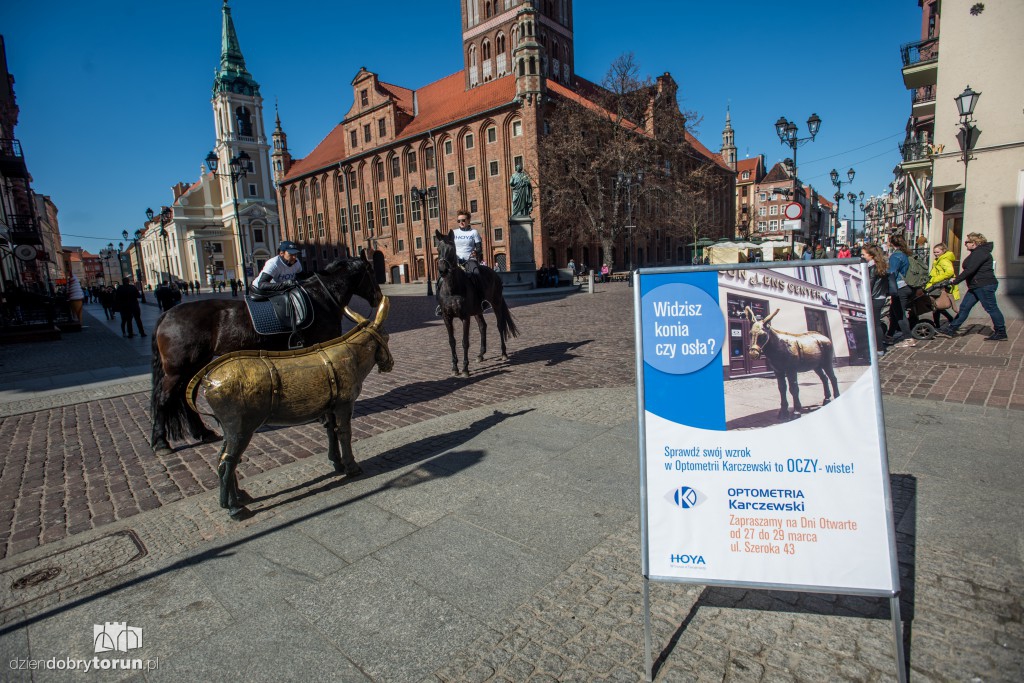 Widzisz osła czy konia? Akcja na Starówce