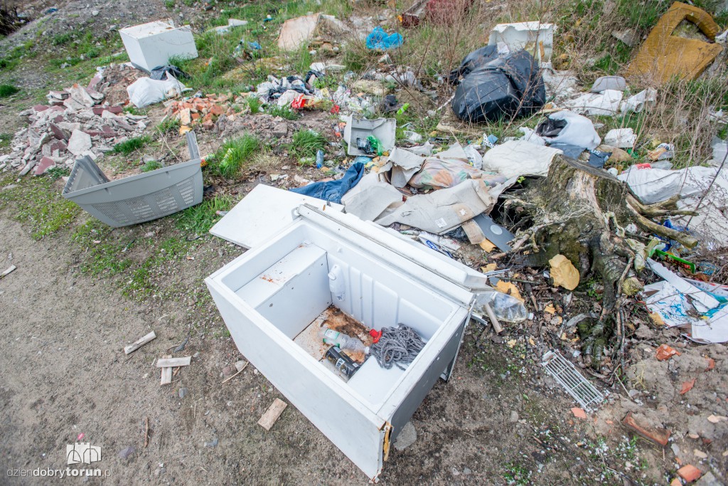 Tak wygląda to miejsce! Jest tam wszystko