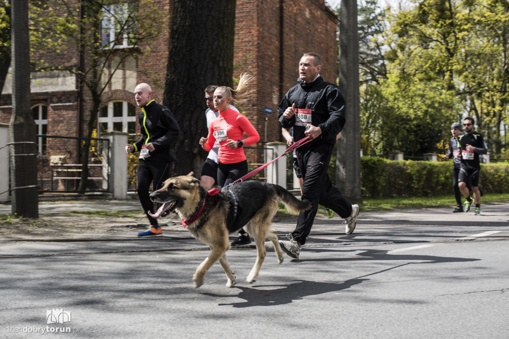 Run to Run - Zwiedzaj Ze Zdrowiem 2017