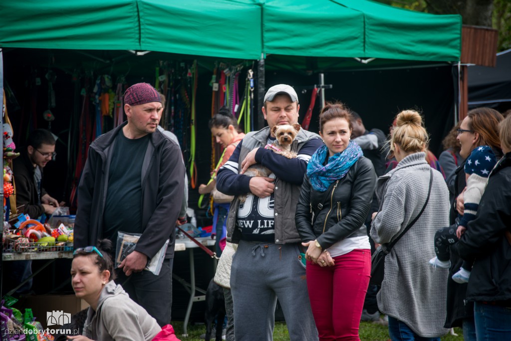 Festyn Przyjaciół Zwierząt