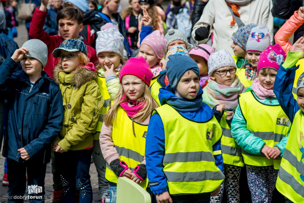 Toruń w znanej planszówce 