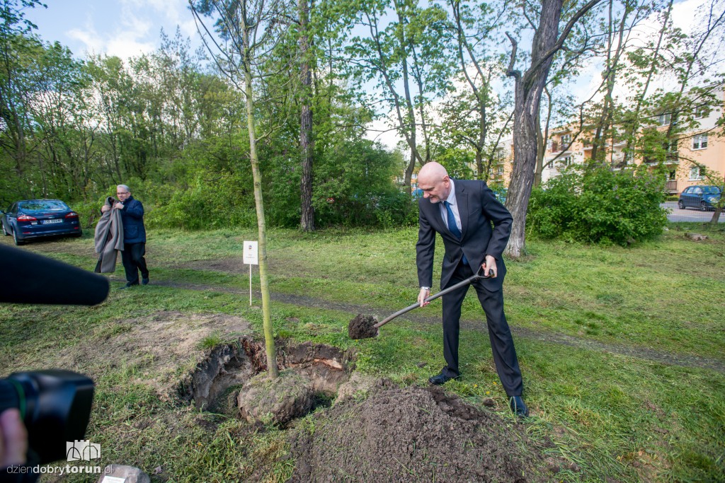 Ok. 200 drzew przybyło na Stawkach