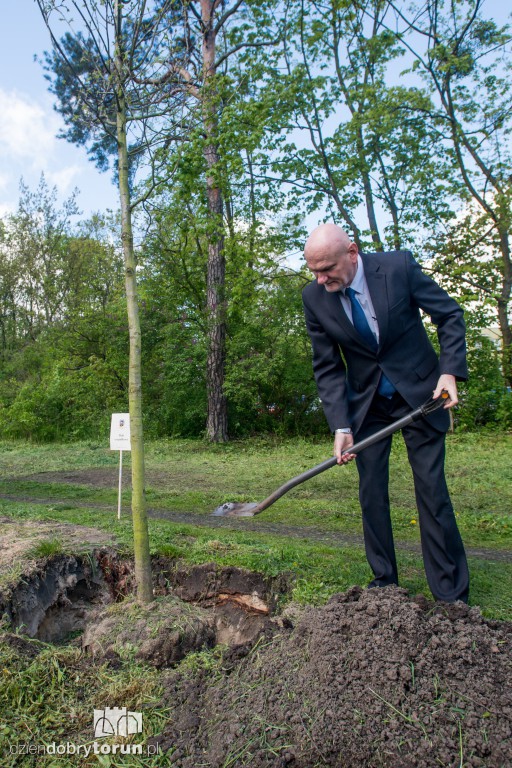 Ok. 200 drzew przybyło na Stawkach