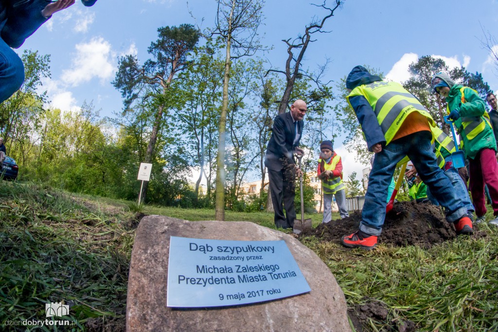 Ok. 200 drzew przybyło na Stawkach