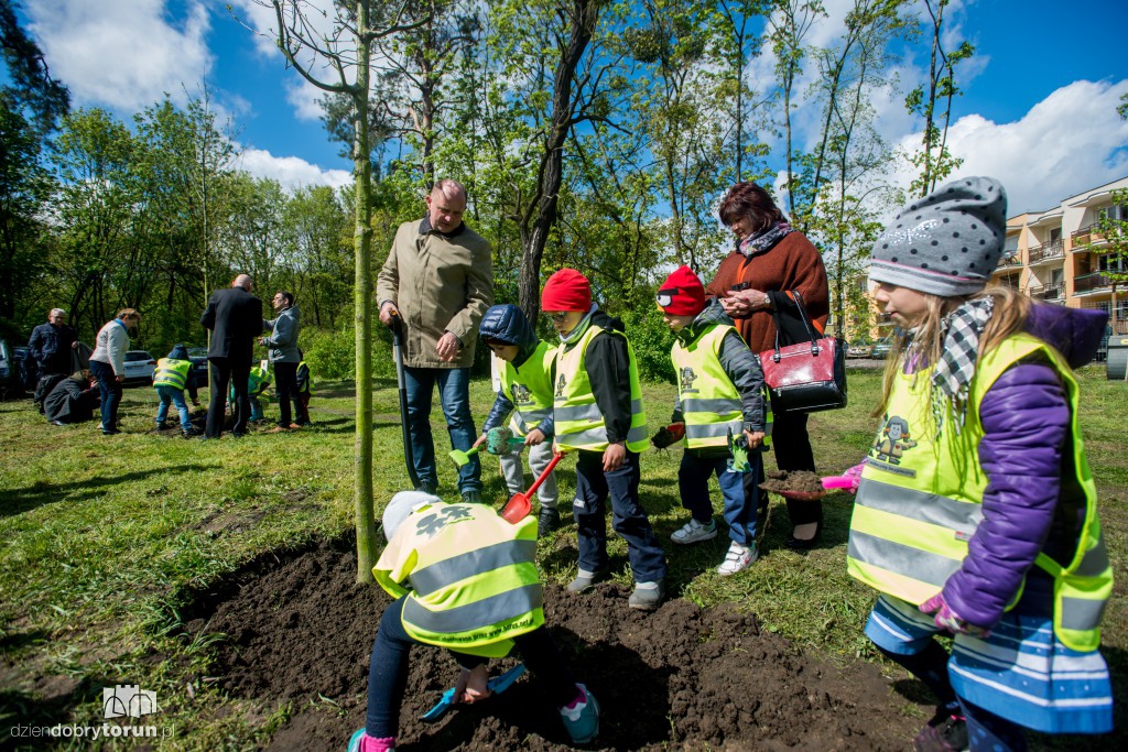 Ok. 200 drzew przybyło na Stawkach