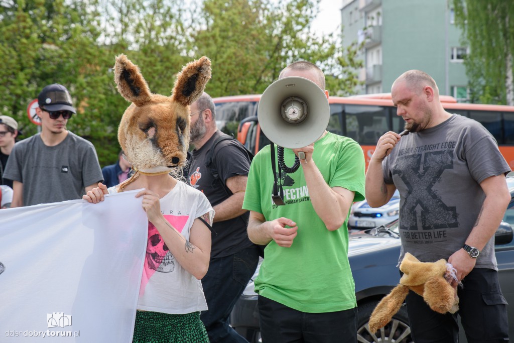 Demonstracja w obronie zwierząt