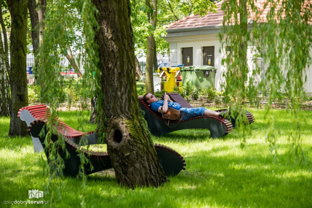 Nowe miejsce w Toruniu. Park przy ul. Fredry