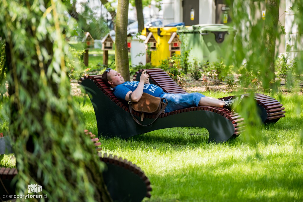 Nowe miejsce w Toruniu. Park przy ul. Fredry
