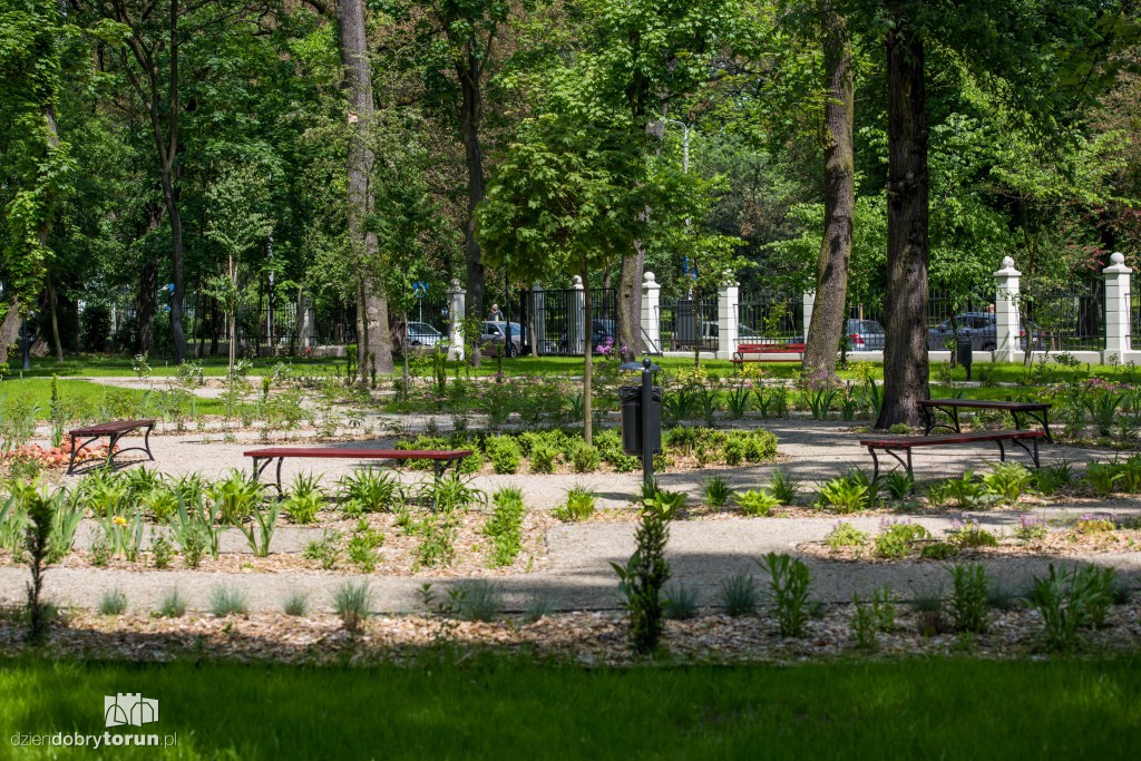 Nowe miejsce w Toruniu. Park przy ul. Fredry