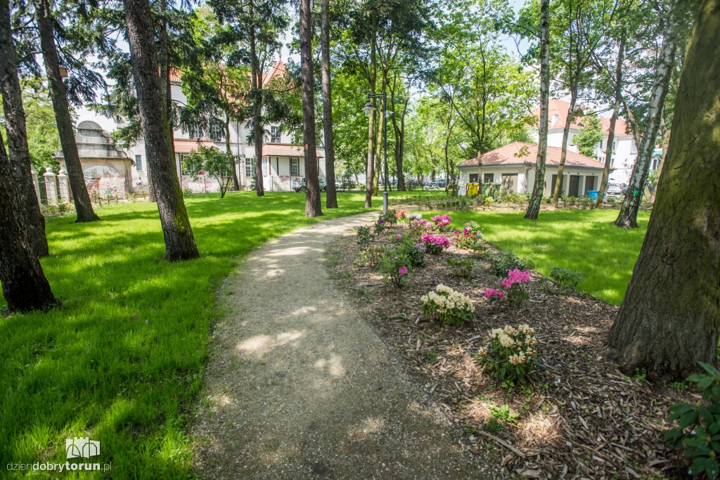Nowe miejsce w Toruniu. Park przy ul. Fredry