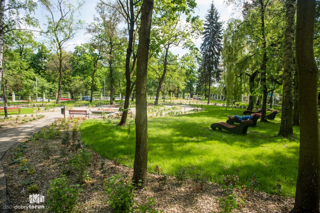 Nowe miejsce w Toruniu. Park przy ul. Fredry