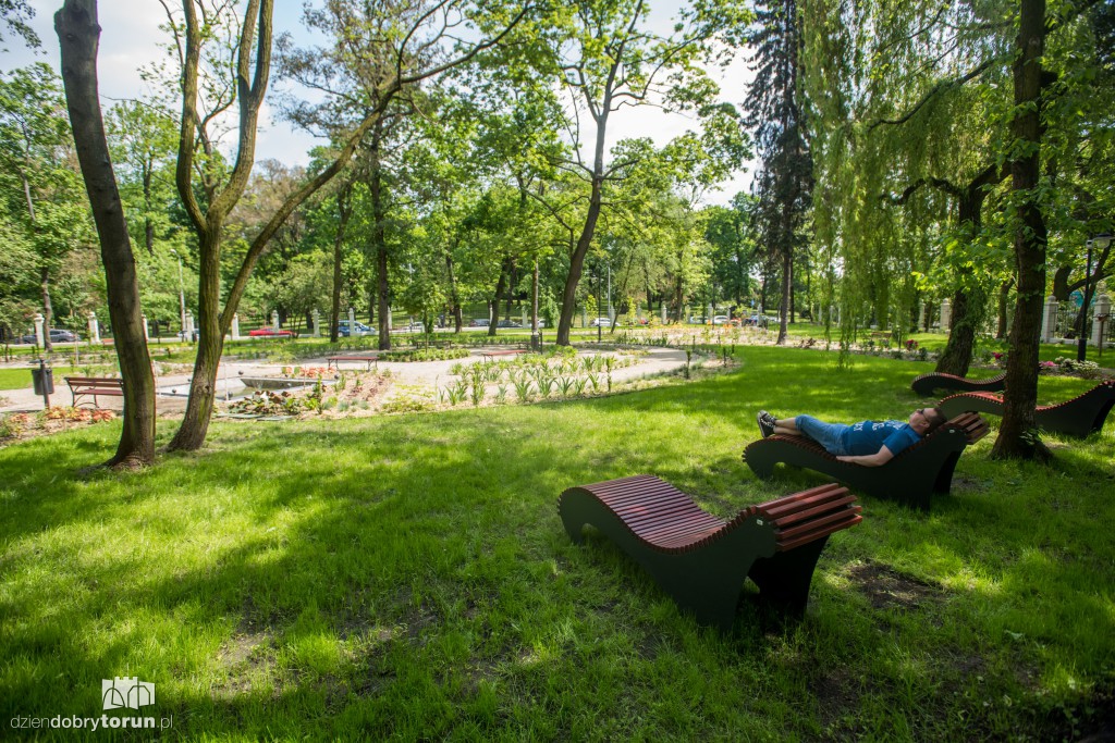 Nowe miejsce w Toruniu. Park przy ul. Fredry
