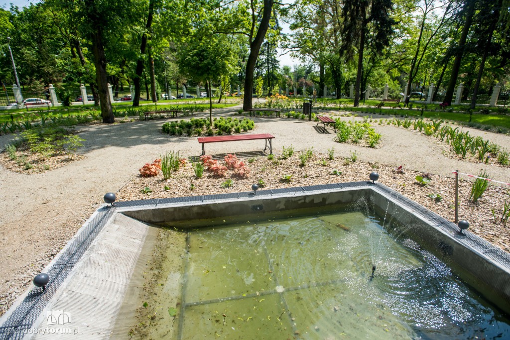 Nowe miejsce w Toruniu. Park przy ul. Fredry