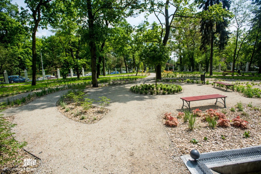 Nowe miejsce w Toruniu. Park przy ul. Fredry