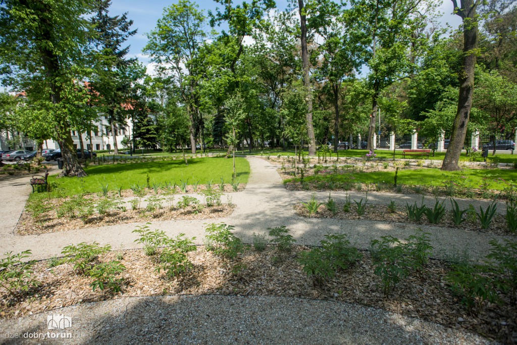 Nowe miejsce w Toruniu. Park przy ul. Fredry