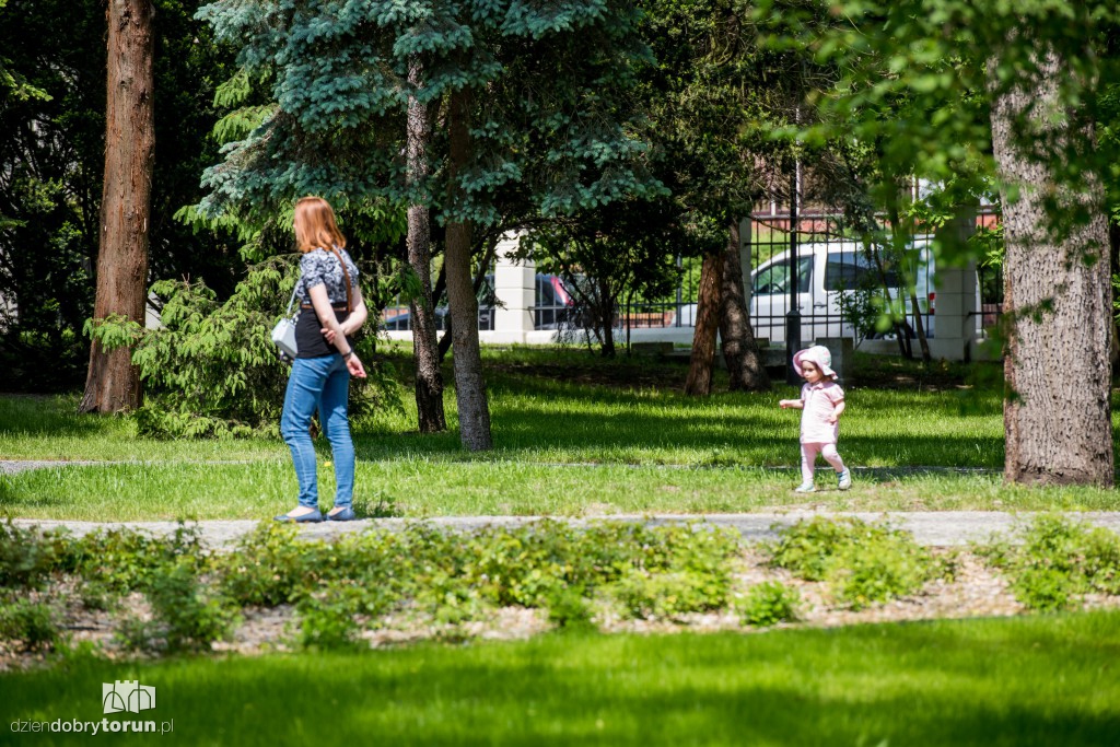 Nowe miejsce w Toruniu. Park przy ul. Fredry