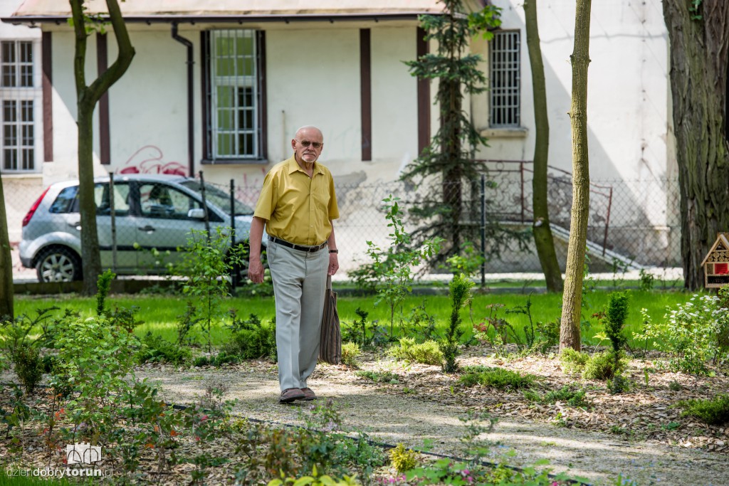 Nowe miejsce w Toruniu. Park przy ul. Fredry