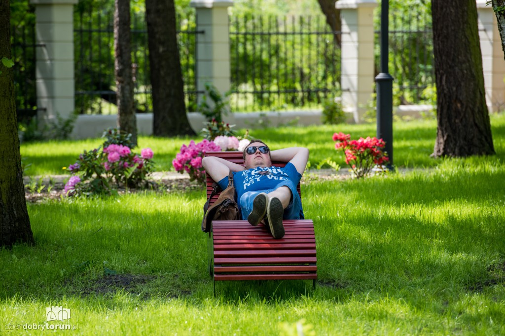 Nowe miejsce w Toruniu. Park przy ul. Fredry