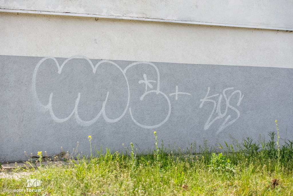 Graffiti. To sztuka czy wandalizm?