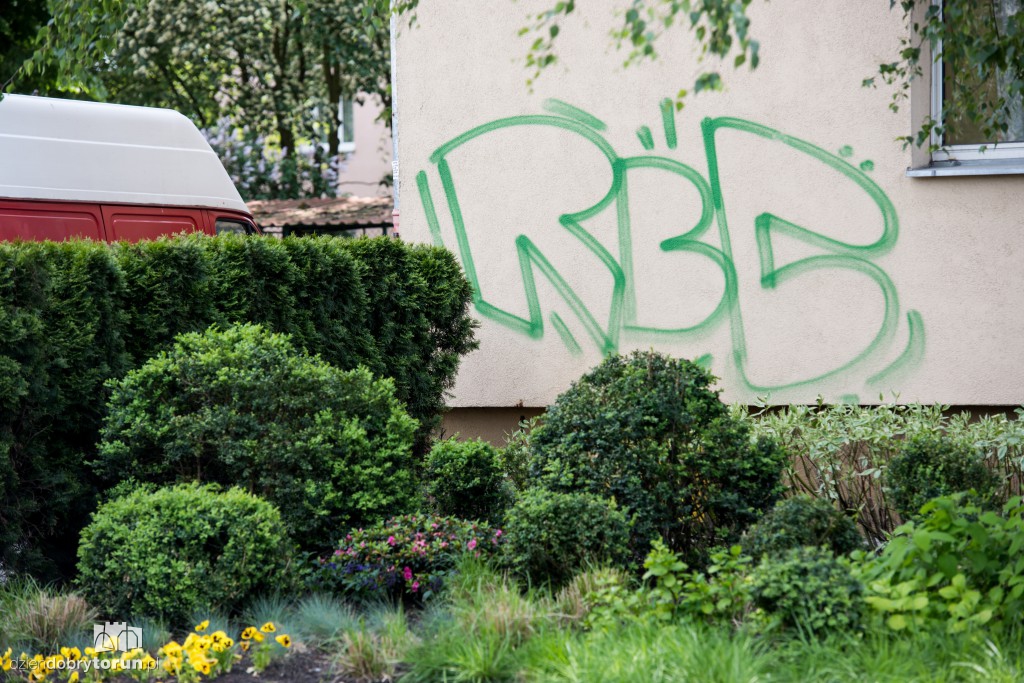 Graffiti. To sztuka czy wandalizm?