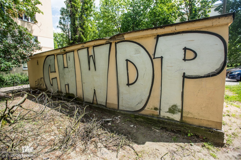 Graffiti. To sztuka czy wandalizm?