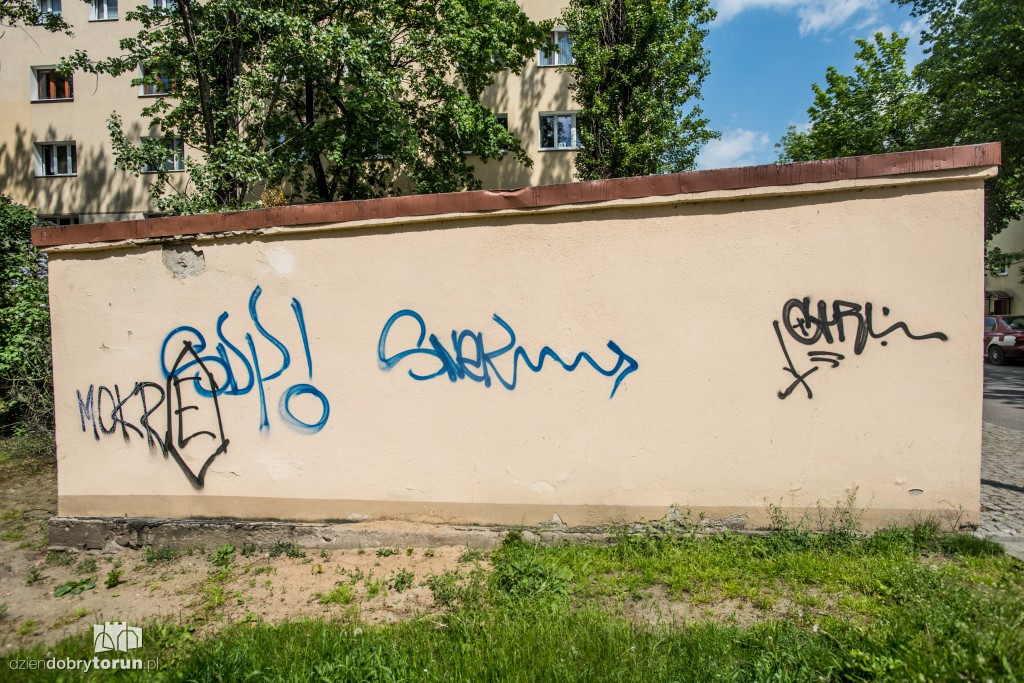 Graffiti. To sztuka czy wandalizm?
