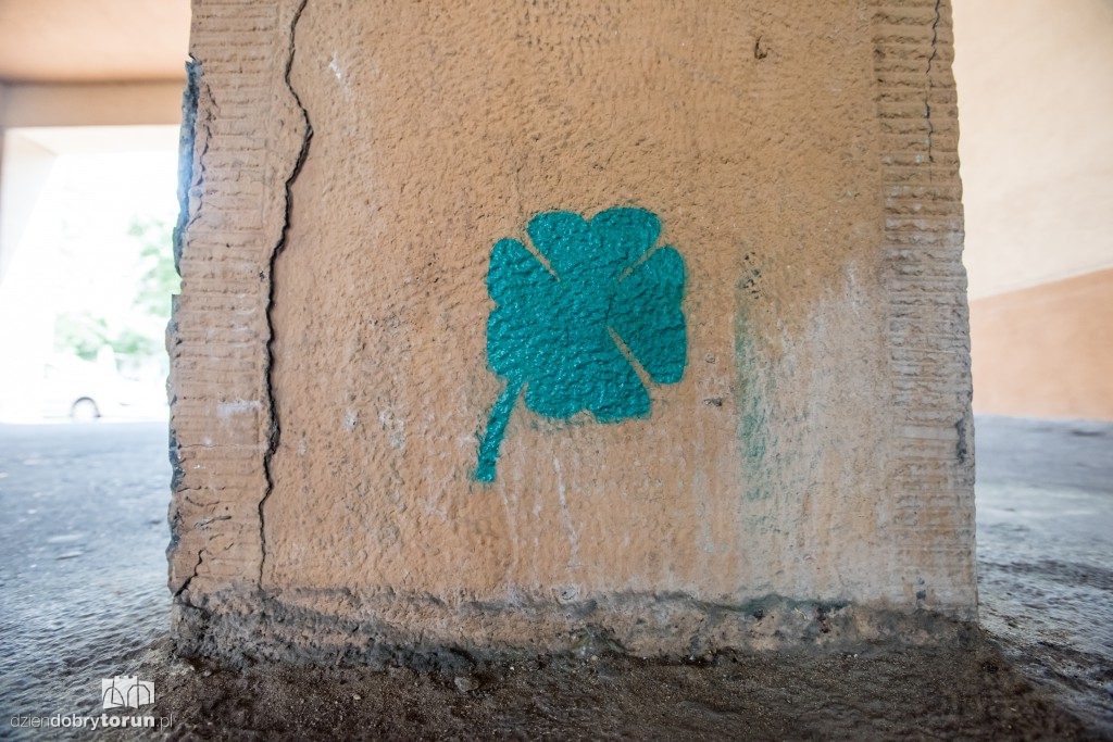 Graffiti. To sztuka czy wandalizm?