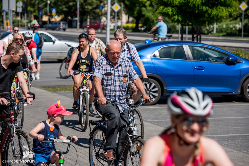 Toruń kręcił kilometry na rowerach