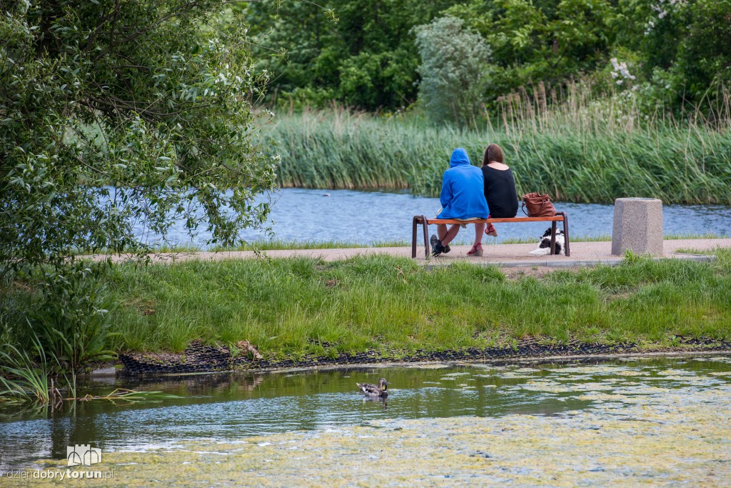 Stawy przy ul. Świętopełka są pełne uroku