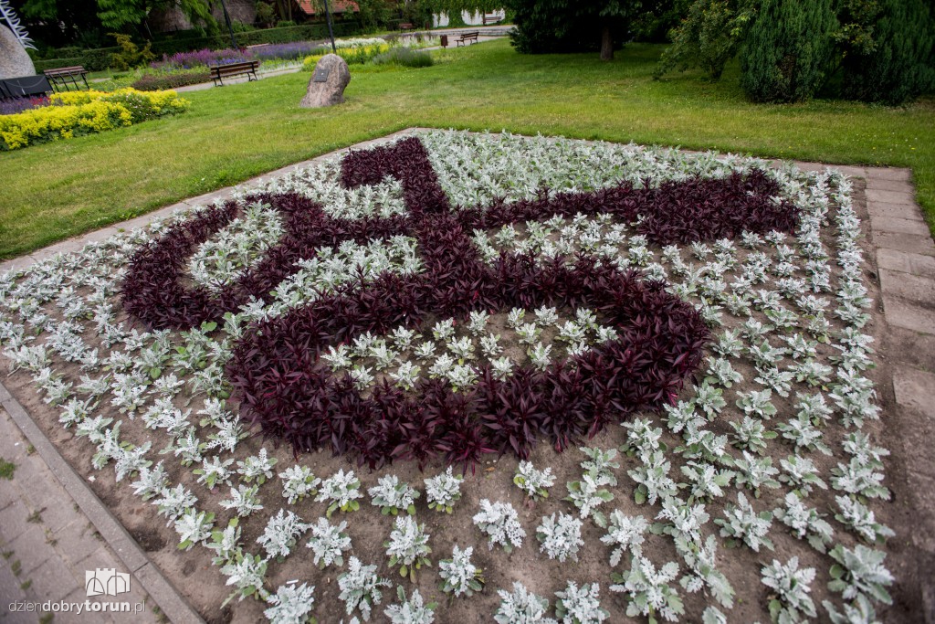 Nareszcie! Toruń tonie w kwiatach
