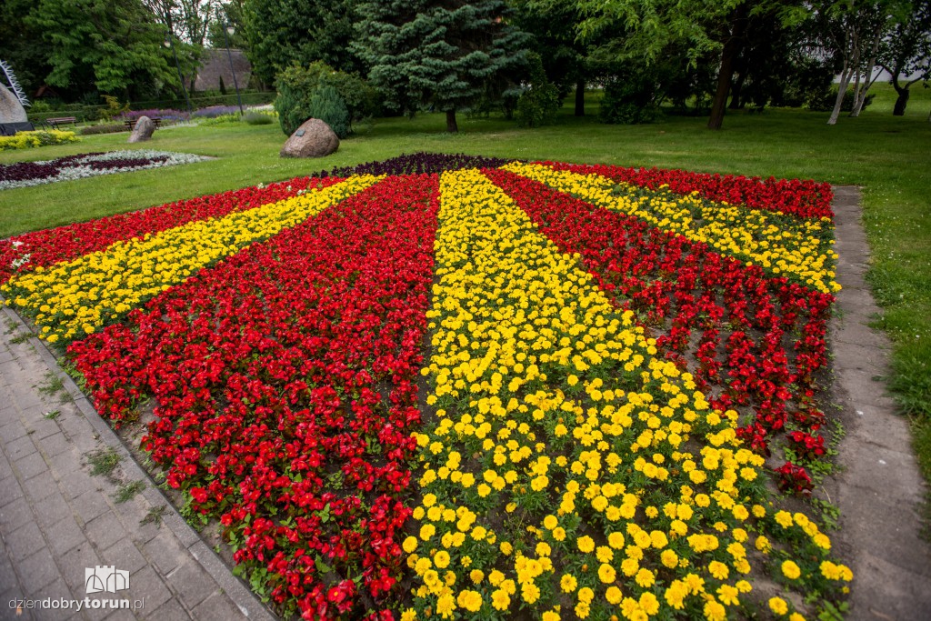 Nareszcie! Toruń tonie w kwiatach