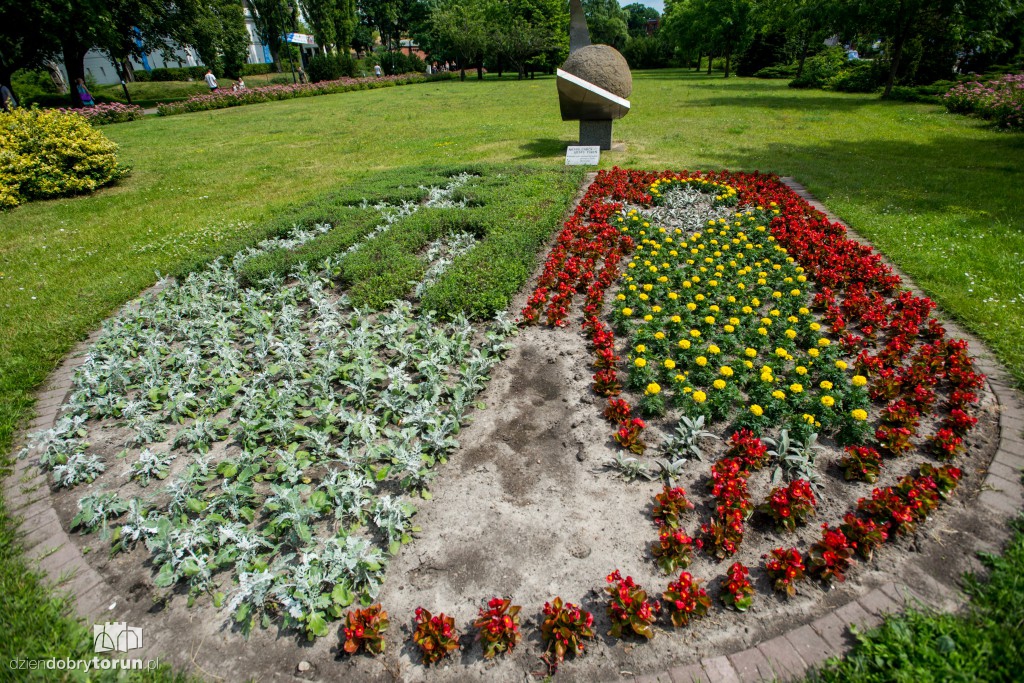 Nareszcie! Toruń tonie w kwiatach