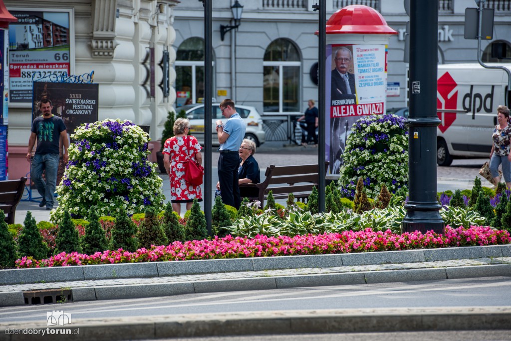 Nareszcie! Toruń tonie w kwiatach