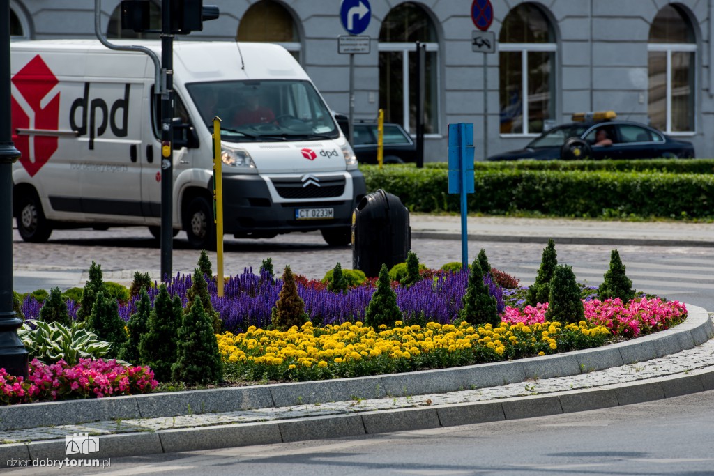 Nareszcie! Toruń tonie w kwiatach