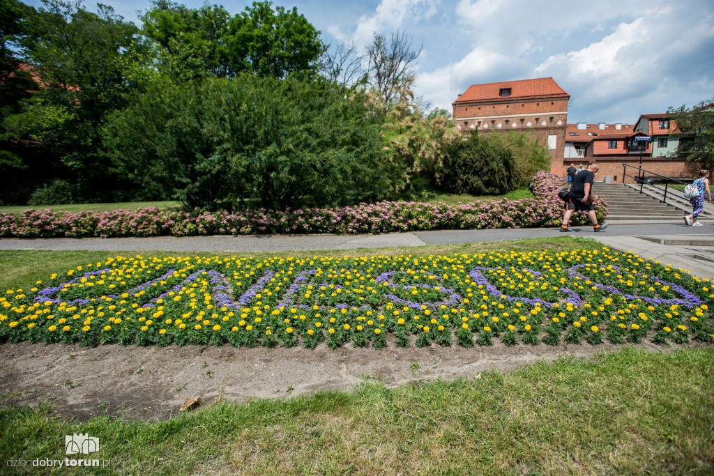 Nareszcie! Toruń tonie w kwiatach