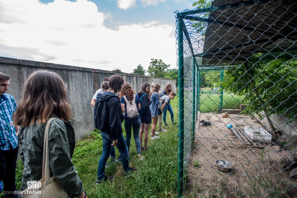 Ósemka odwiedziła schronisko