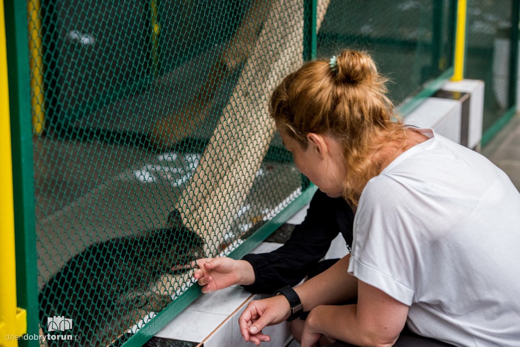 Ósemka odwiedziła schronisko