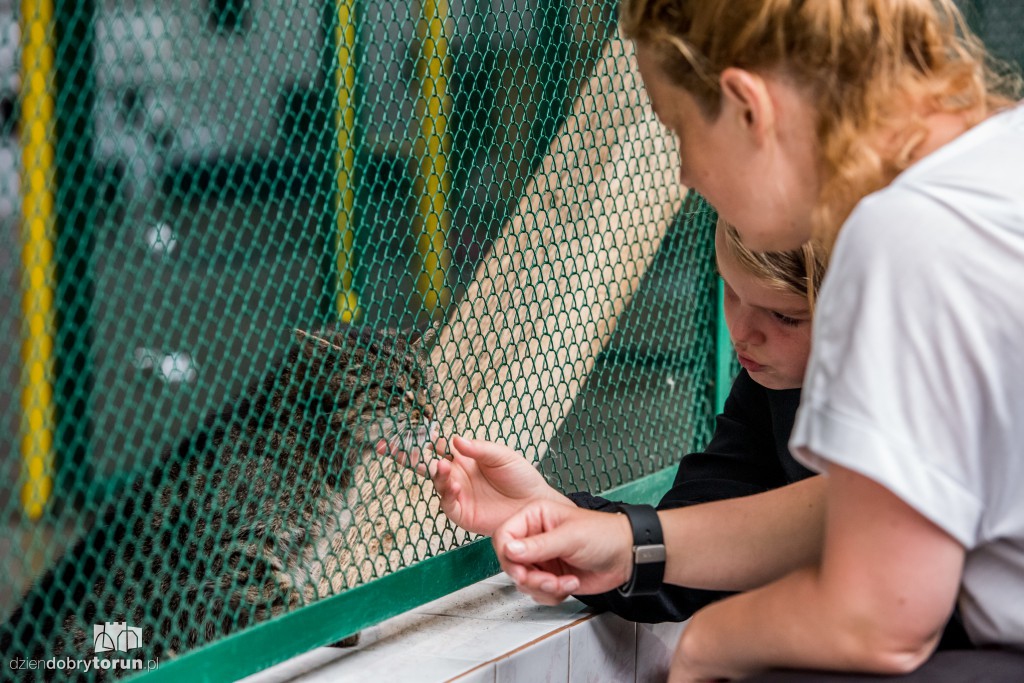 Ósemka odwiedziła schronisko