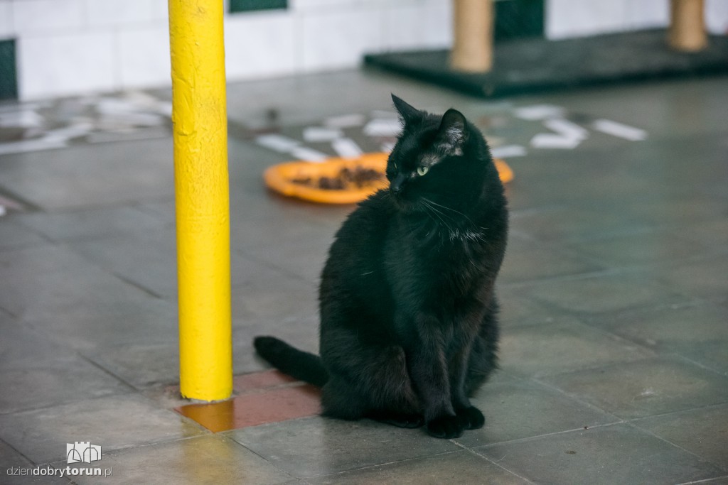 Ósemka odwiedziła schronisko