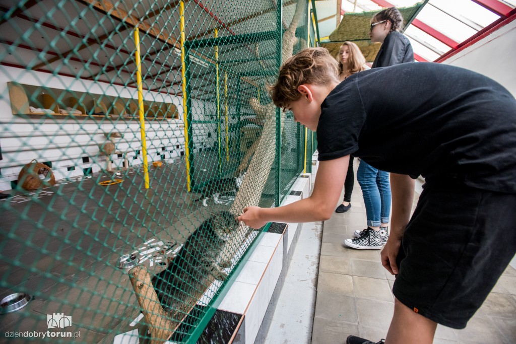 Ósemka odwiedziła schronisko