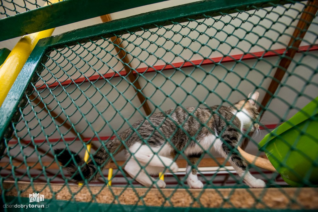 Ósemka odwiedziła schronisko